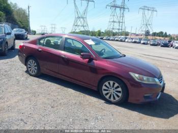  Salvage Honda Accord