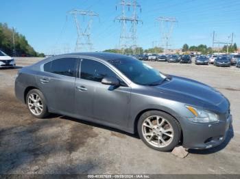  Salvage Nissan Maxima