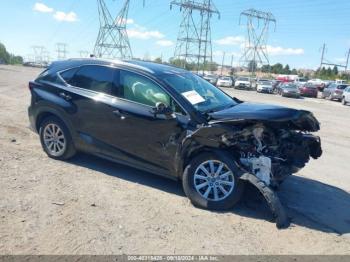  Salvage Lexus NX