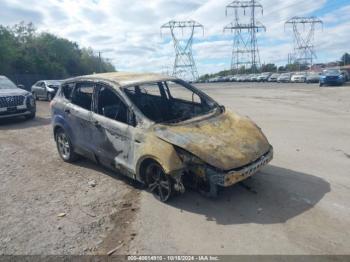  Salvage Ford Escape