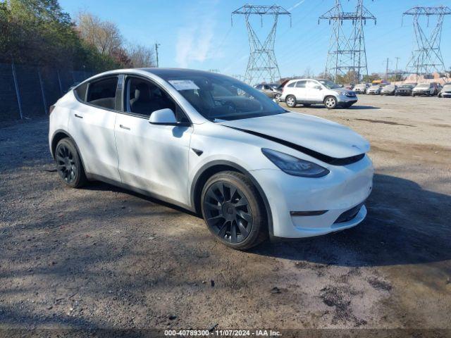  Salvage Tesla Model Y