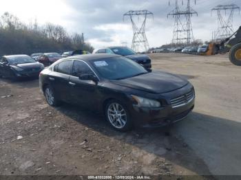  Salvage Nissan Maxima