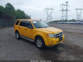  Salvage Ford Escape