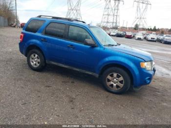  Salvage Ford Escape