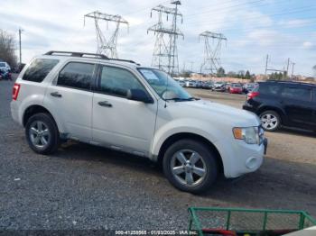  Salvage Ford Escape