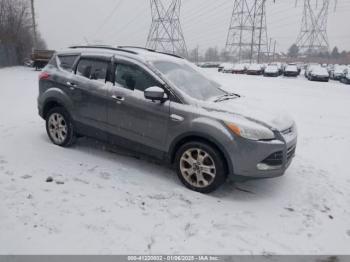  Salvage Ford Escape