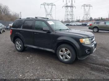  Salvage Ford Escape