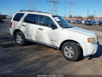  Salvage Ford Escape