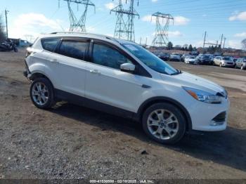  Salvage Ford Escape