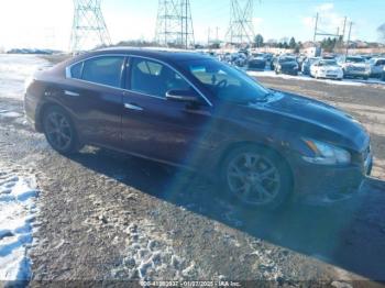  Salvage Nissan Maxima