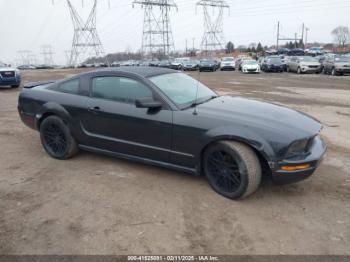  Salvage Ford Mustang