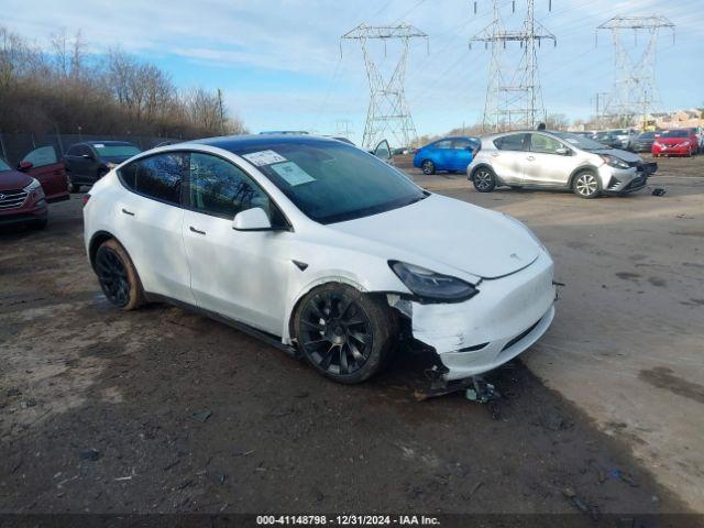  Salvage Tesla Model Y