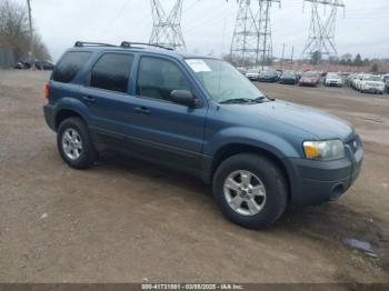  Salvage Ford Escape