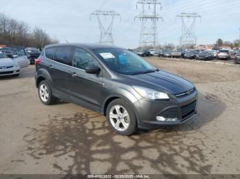  Salvage Ford Escape