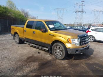  Salvage Ford F-150