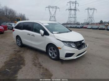  Salvage Honda Odyssey