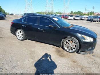  Salvage Nissan Maxima