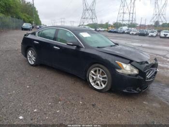  Salvage Nissan Maxima