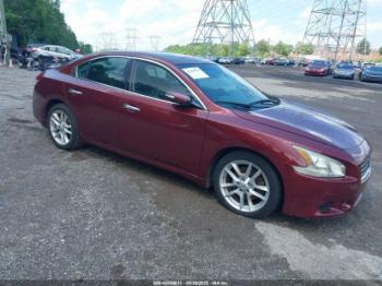  Salvage Nissan Maxima