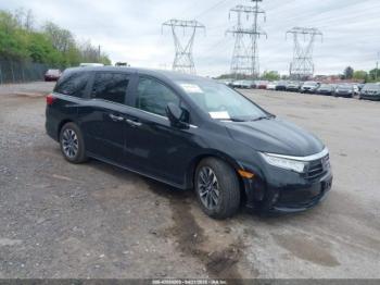  Salvage Honda Odyssey