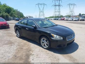  Salvage Nissan Maxima