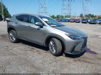  Salvage Lexus NX