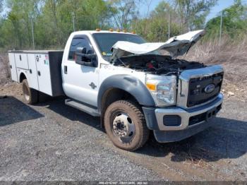  Salvage Ford F-550