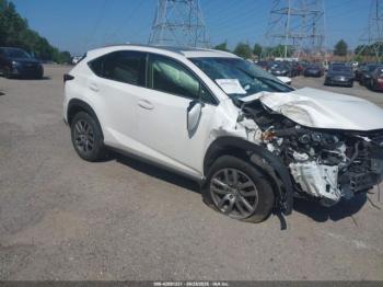  Salvage Lexus NX
