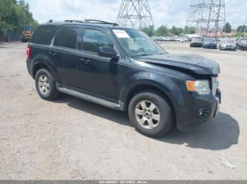  Salvage Ford Escape