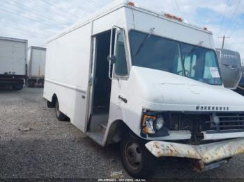  Salvage Workhorse Custom Cha Step Van