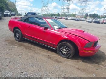  Salvage Ford Mustang