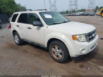  Salvage Ford Escape