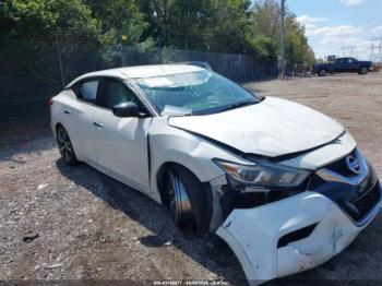  Salvage Nissan Maxima