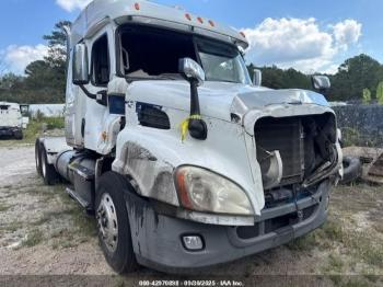  Salvage Freightliner Cascadia 113