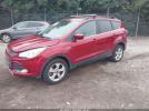 Ford Escape Se Image 7
