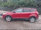 Ford Escape Se Image 10