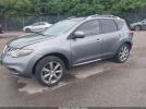 Nissan Murano Le Image 9