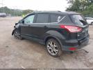 Ford Escape Titanium Image 8