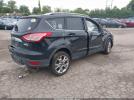 Ford Escape Titanium Image 6