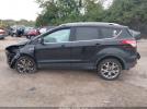 Ford Escape Titanium Image 14