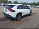 Toyota RAV4 Xle Image 11