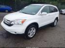 Honda CR-V Ex-l Image 4