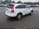 Honda CR-V Ex-l Image 3