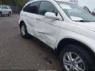 Honda CR-V Ex-l Image 5