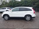 Honda CR-V Ex-l Image 14