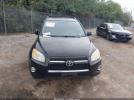 Toyota RAV4 Limited Image 7