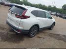 Honda CR-V Awd Ex-l Image 6