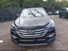 Hyundai SANTA FE 2.4l Image 17