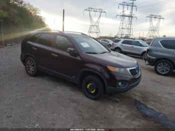  Salvage Kia Sorento