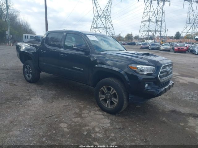 Toyota Tacoma Trd Sport Image 1